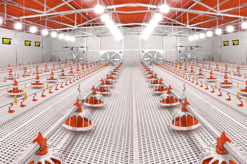 肉雞平養(yǎng)設(shè)備